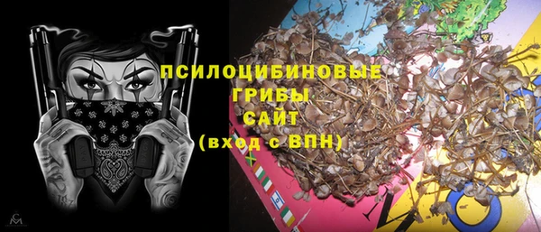прущие крисы Аркадак